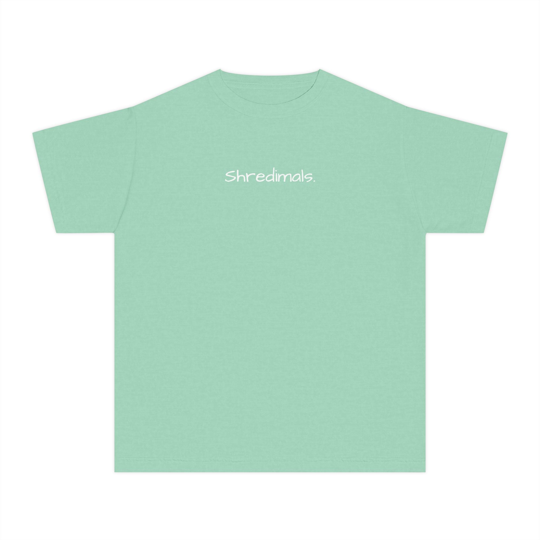 Youth Unisex Graphic Tee - Surfing Bulldog