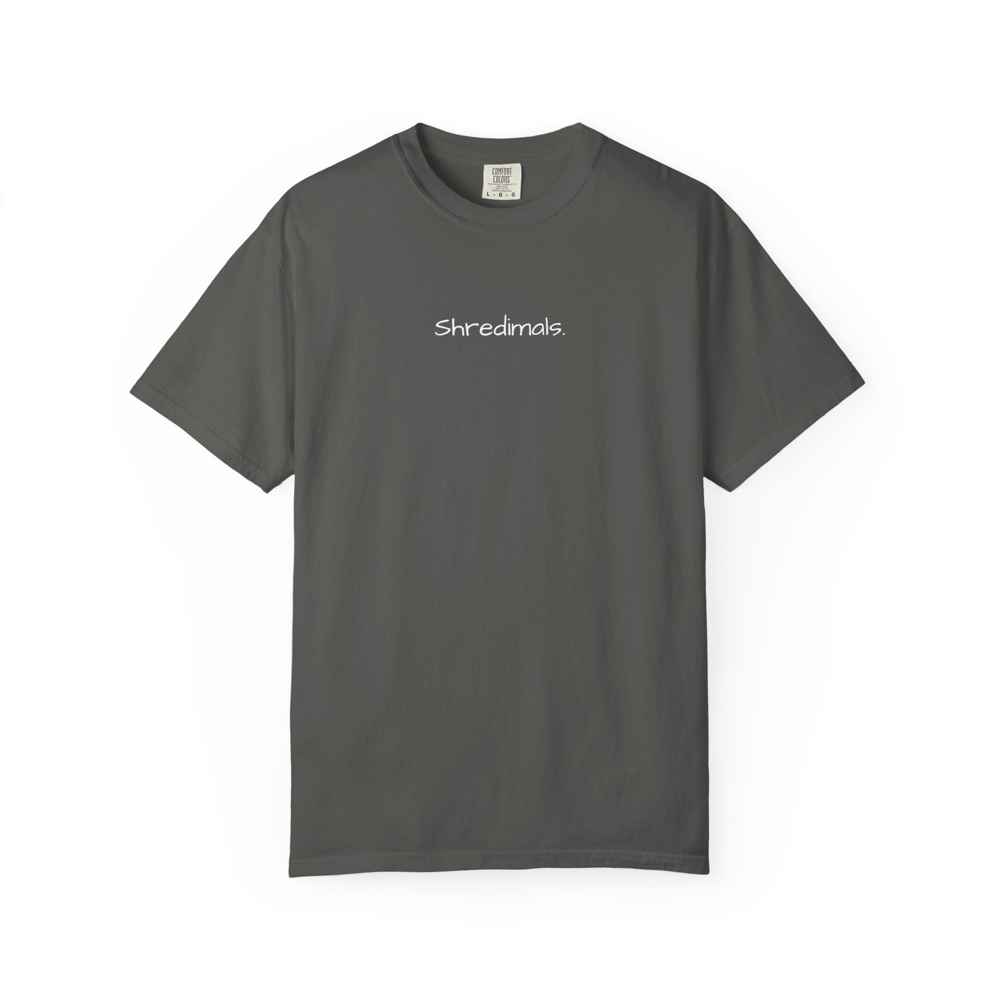 Unisex Graphic Tee - Snowboarding Penguin