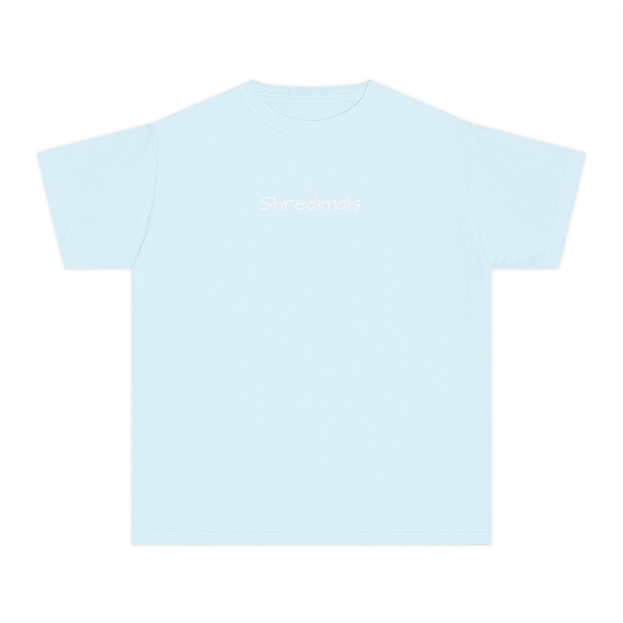 Youth Unisex Graphic Tee - Skating Teddy