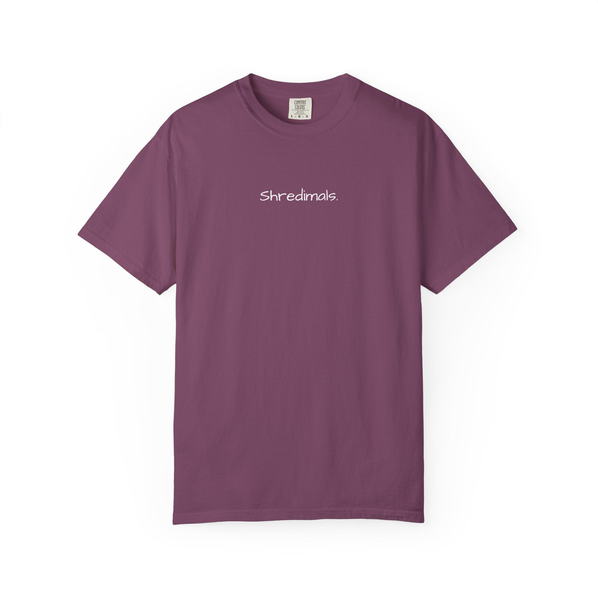 Unisex Graphic Tee - Skating Teddy