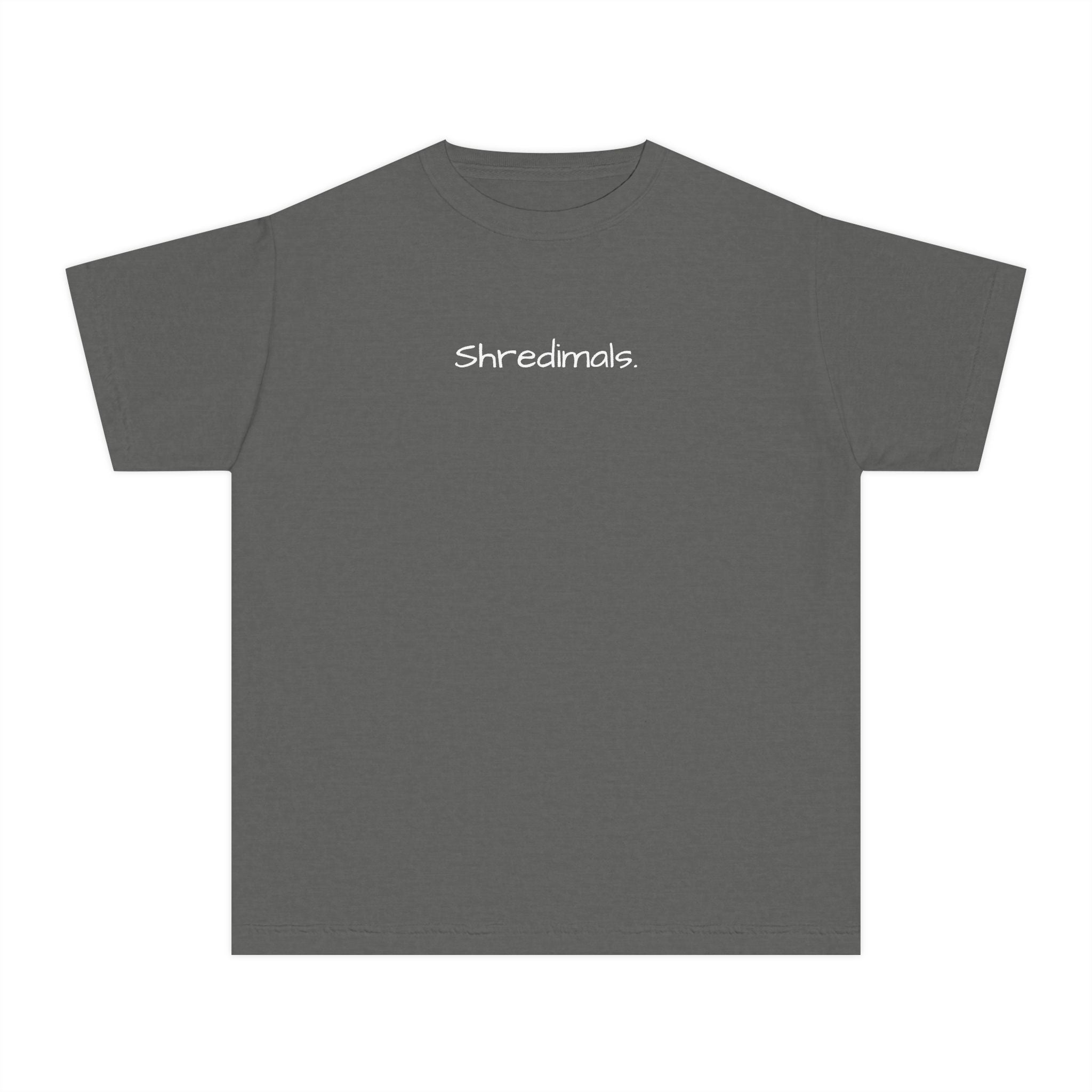 Youth Unisex Graphic Tee - Skating Teddy