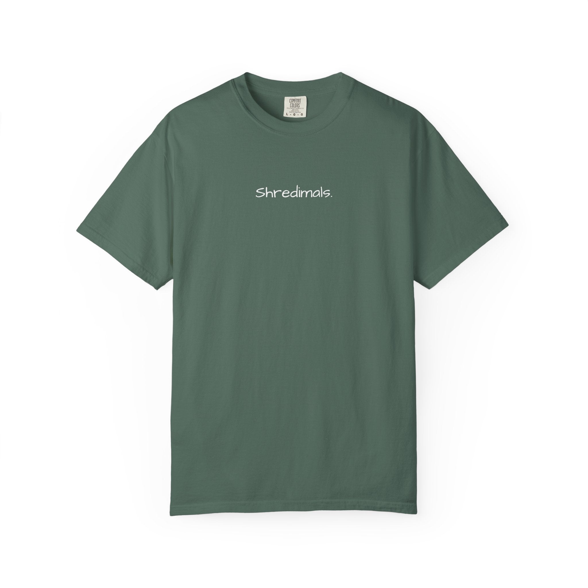 Unisex Graphic Tee - Skiing Goose