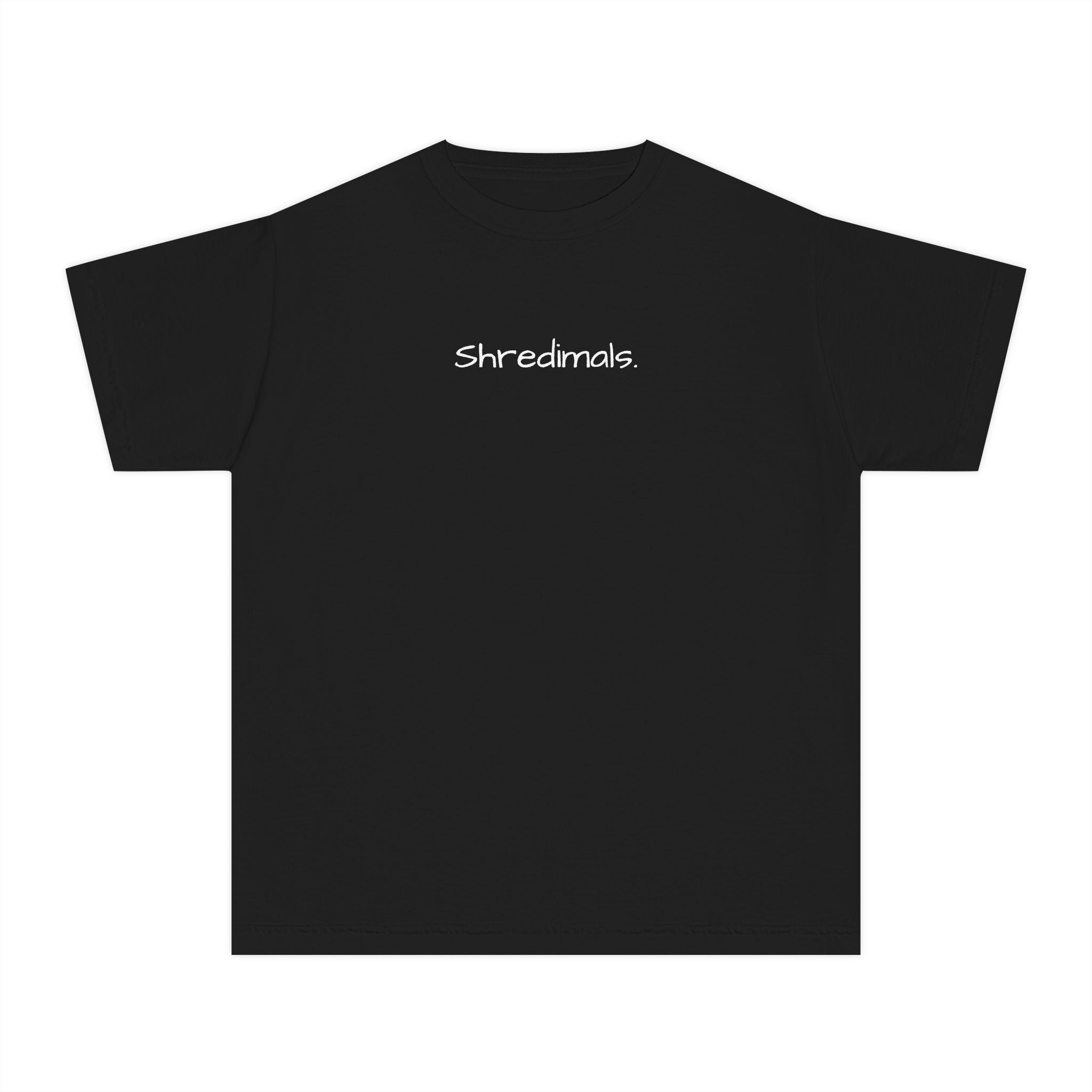 Youth Unisex Graphic Tee - Snowboarding Penguin