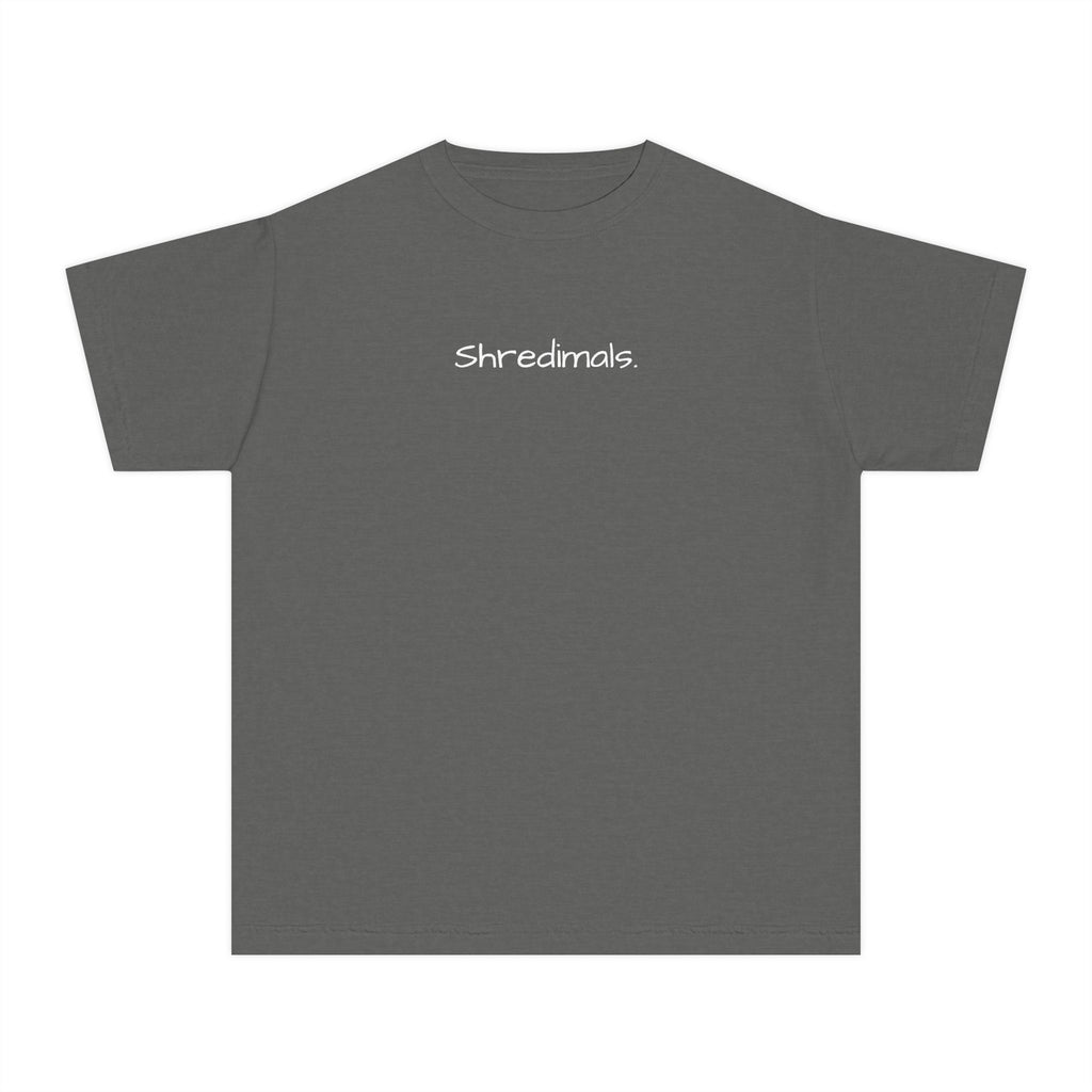 Youth Unisex Graphic Tee - Snowboarding Penguin