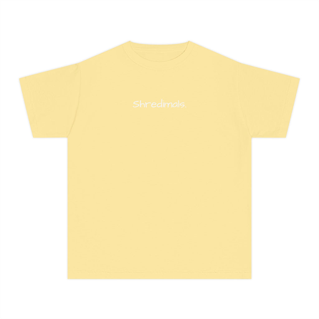 Youth Unisex Graphic Tee - Skating Teddy