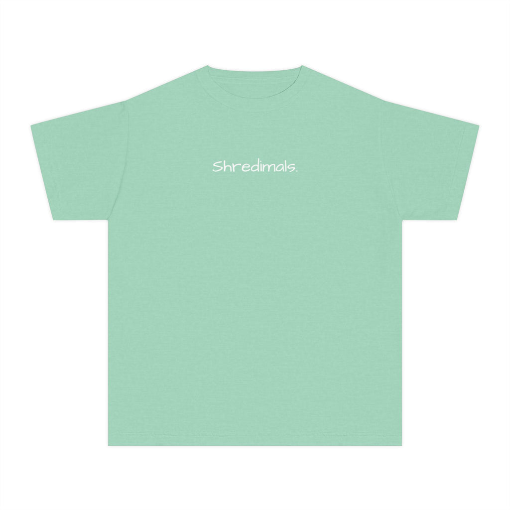 Youth Unisex Graphic Tee - Skiing Goose