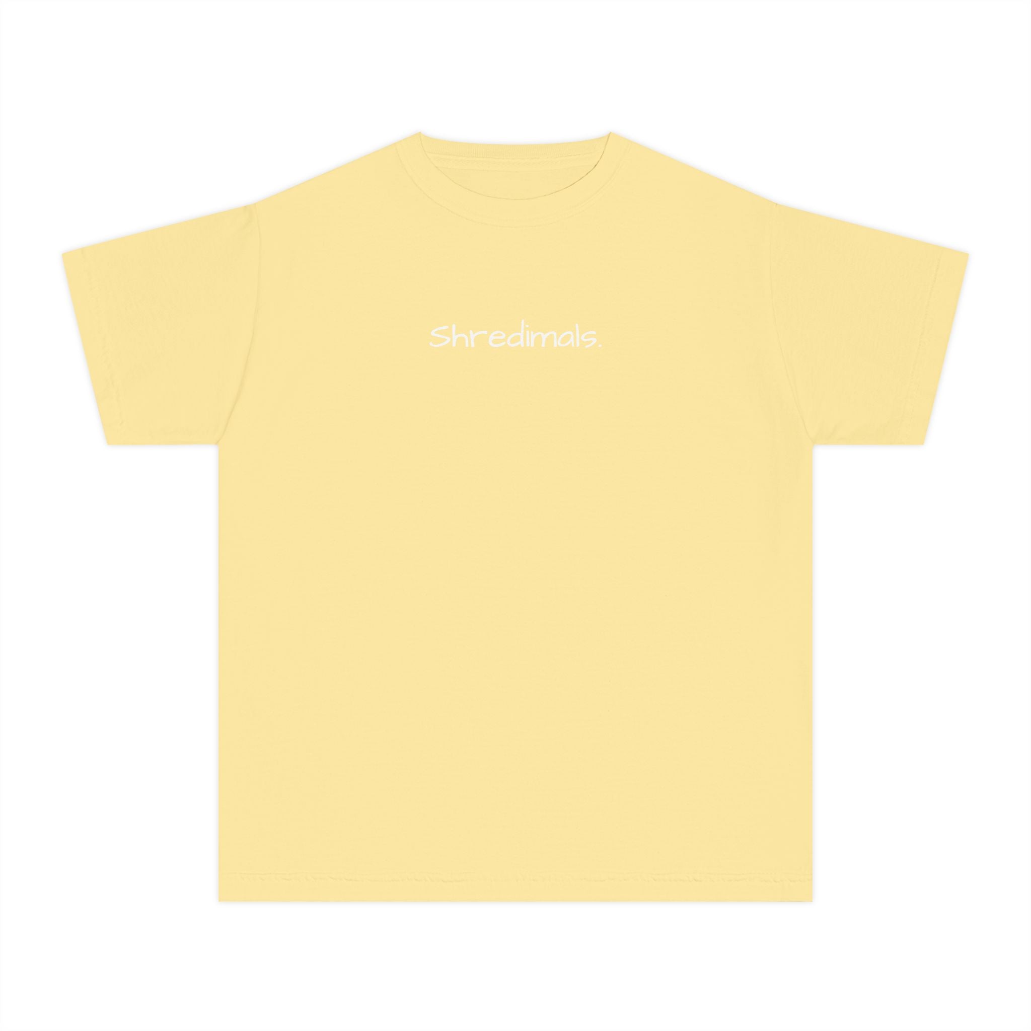 Youth Unisex Graphic Tee - Skiing Goose