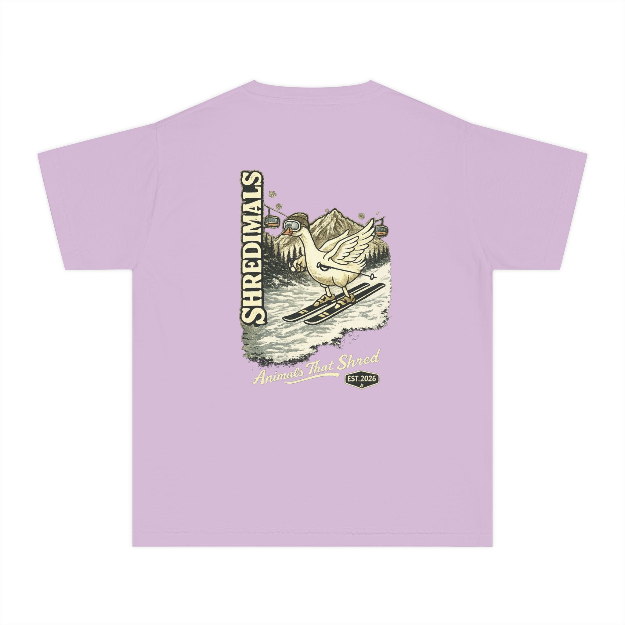 Youth Unisex Graphic Tee - Skiing Goose