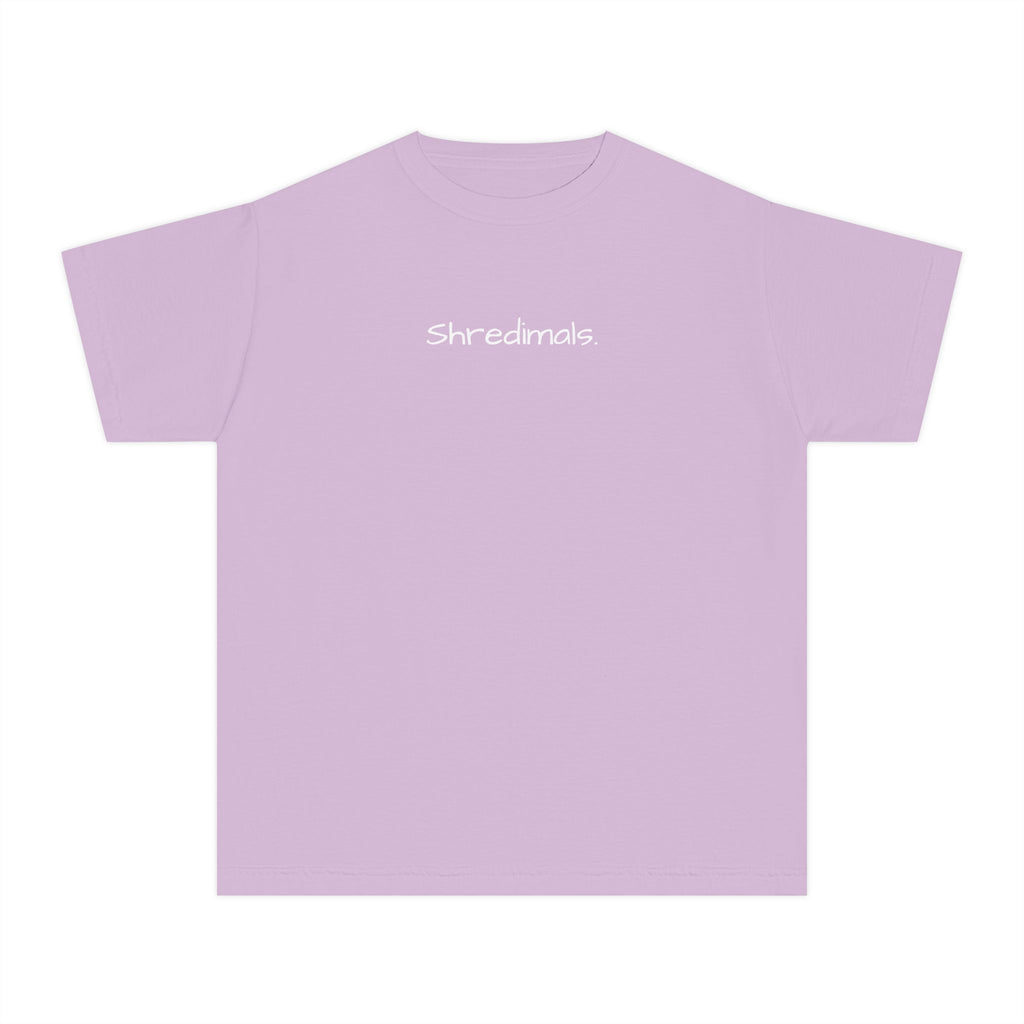 Youth Unisex Graphic Tee - Skating Teddy