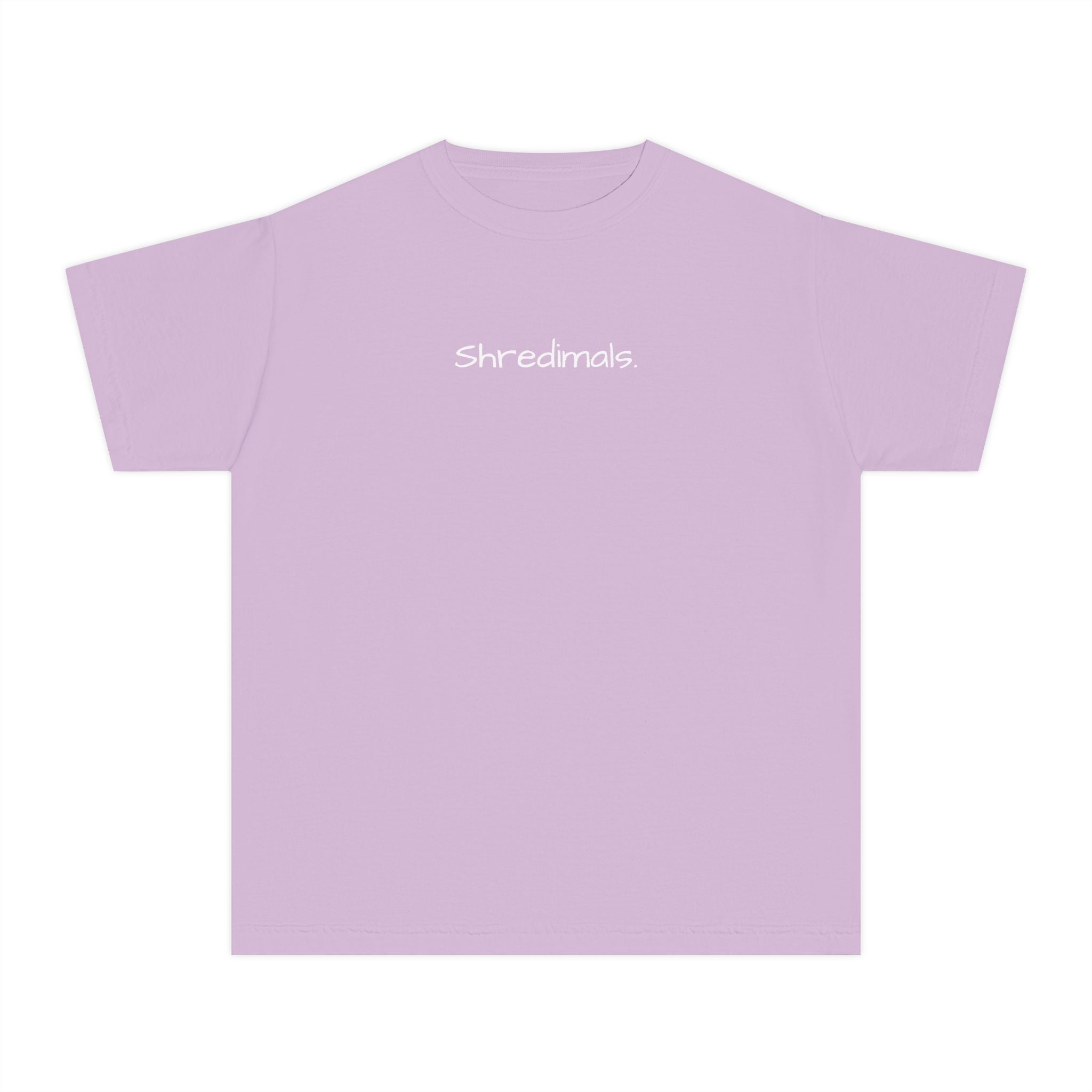 Youth Unisex Graphic Tee - Skating Teddy